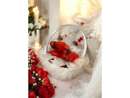 Photoroom 20250224 161107