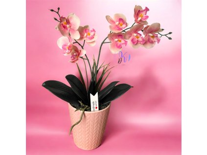 DEKOR ORCHIDEA KASPÓBAN AJÁNDÉK TÁBLÁCSKÁVAL