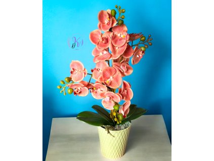 DEKOR PRÉMIUM ORCHIDEA KASPÓBAN KORALL