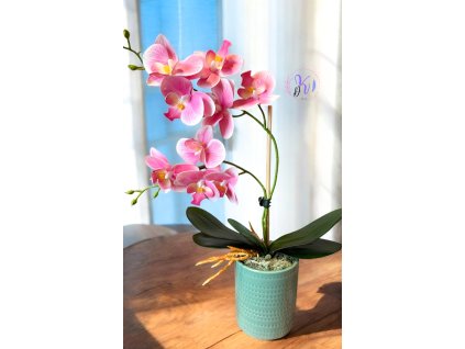 DEKOR ORCHIDEA KASPÓBAN KICSI RÓZSASZÍN