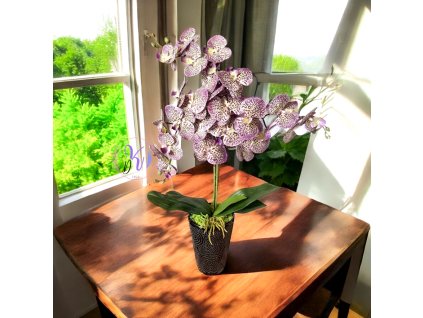 DEKOR ORCHIDEA KASPÓBAN LILA KRÉM