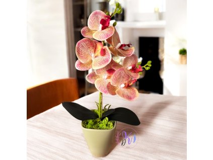 DEKOR ORCHIDEA KASPÓBAN CIRMOS NARANCS