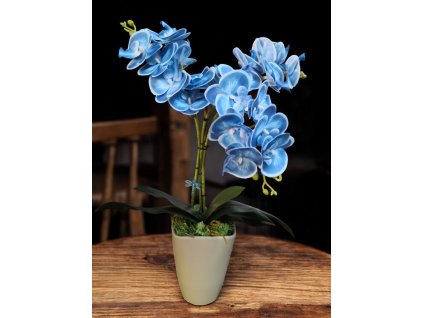 DEKOR ORCHIDEA KASPÓBAN VILÁGOSKÉK