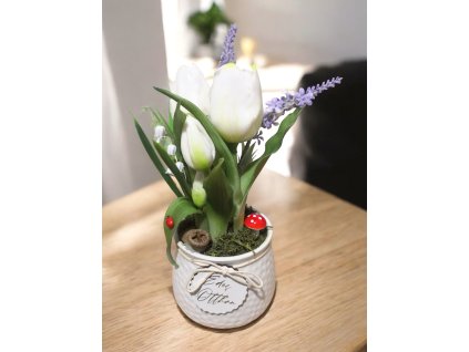 DEKOR TULIPÁN KASPÓBAN SZARKALÁBOS AJÁNDÉK TÁBLÁCSKÁVAL FEHÉR