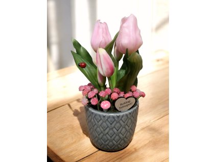 DEKOR TULIPÁN KASPÓBAN AJÁNDÉK TÁBLÁCSKÁVAL RÓZSASZÍN