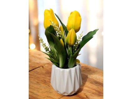 DEKOR TULIPÁN KASPÓBAN  CITROMSÁRGA