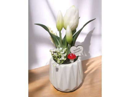 DEKOR TULIPÁN KASPÓBAN AJÁNDÉK TÁBLÁCSKÁVAL FEHÉR