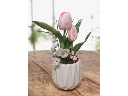 DEKOR TULIPÁN KASPÓBAN AJÁNDÉK TÁBLÁCSKÁVAL HALVÁNY RÓZSASZÍN