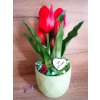 DEKOR TULIPÁN KASPÓBAN AJÁNDÉK TÁBLÁCSKÁVAL  PIROS