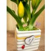 DEKOR TULIPÁN KASPÓBAN AJÁNDÉK TÁBLÁCSKÁVAL  FEHÉR ÉS CITROM