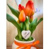 DEKOR TULIPÁN KASPÓBAN AJÁNDÉK TÁBLÁCSKÁVAL  NARANCS 2