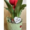 DEKOR TULIPÁN KASPÓBAN AJÁNDÉK TÁBLÁCSKÁVAL  PIROS 2