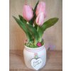 DEKOR TULIPÁN KASPÓBAN AJÁNDÉK TÁBLÁCSKÁVAL  HALVÁNY RÓZSASZÍN
