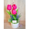 DEKOR TULIPÁN KASPÓBAN AJÁNDÉK TÁBLÁCSKÁVAL  RÓZSASZÍN