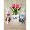DEKOR TULIPÁN KASPÓBAN AJÁNDÉK TÁBLÁCSKÁVAL  RÓZSASZÍN