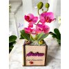 DEKOR ORCHIDEA FA KASPÓBAN KATICÁVAL  LILA