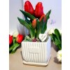 DEKOR TULIPÁN KASPÓBAN  VÁLASZTHATÓ AJÁNDÉK TÁBLÁCSKÁVAL PIROS