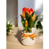 DEKOR TULIPÁN KASPÓBAN AJÁNDÉK TÁBLÁCSKÁVAL NARANCS