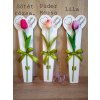 DEKOR TULIPÁN  NŐNAPOS FA ÁTADÓVAL
