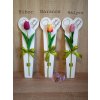 DEKOR TULIPÁN  NŐNAPOS FA ÁTADÓVAL