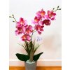 DEKOR ORCHIDEA KASPÓBAN AJÁNDÉK TÁBLÁCSKÁVAL