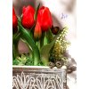 DEKOR TULIPÁN DÍSZES FALÁDÁBAN AJÁNDÉK TÁBLÁCSKÁVAL PIROS