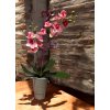 DEKOR ORCHIDEA KASPÓBAN AJÁNDÉK TÁBLÁCSKÁVAL