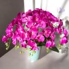 DEKOR ORCHIDEA KASPÓBAN MÁLYVA