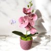 DEKOR ORCHIDEA KASPÓBAN HALVÁNY CIRMOS LILA