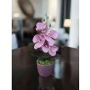 DEKOR ORCHIDEA KASPÓBAN HALVÁNY CIRMOS LILA