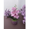 DEKOR ORCHIDEA KASPÓBAN HALVÁNY CIRMOS LILA