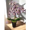 DEKOR ORCHIDEA KASPÓBAN LILA KRÉM