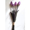 ÉLTHŰ PRÉMIUM KATEGÓRIÁS TULIPÁN CSOKOR LILA