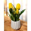 DEKOR TULIPÁN KASPÓBAN  CITROMSÁRGA