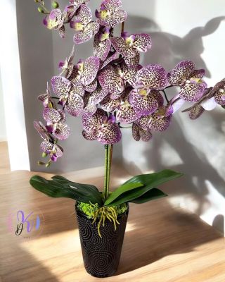 Elegancia, ami sosem hervad el! Dobd fel otthonod vagy irodád hangulatát ezzel a különleges, élethű műorchideával! A...