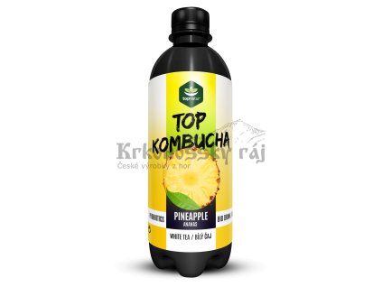 top kombucha