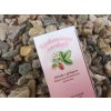 Čaj Krakonošovo čarobejlí - Jahoda s ginkgem 20x2g nálevné sáčky