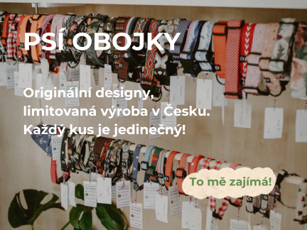 Obojky