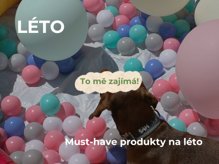 léto