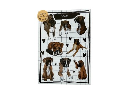 Návrh bez názvu 15