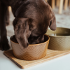 cloud7 dog bowl alain avocado cinnamon 2.jpg