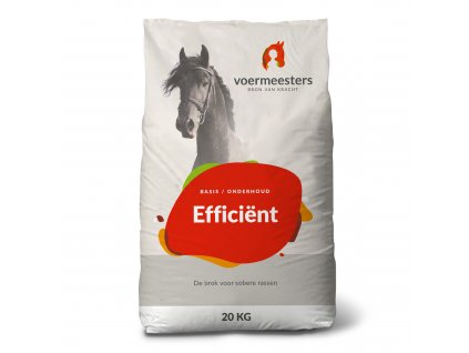 VM Efficient 2000x2000px