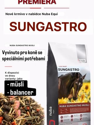 ✨NUBA EQUI : Sungastro ✨