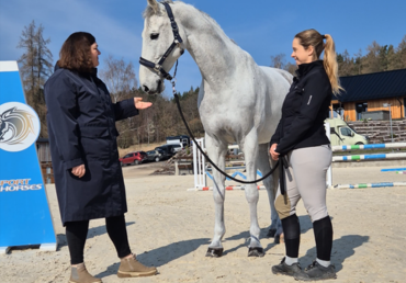 Jak krmit špičkového sportovního koně?