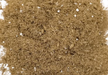 Sladový květ – voňavý proteinový poklad pro koně