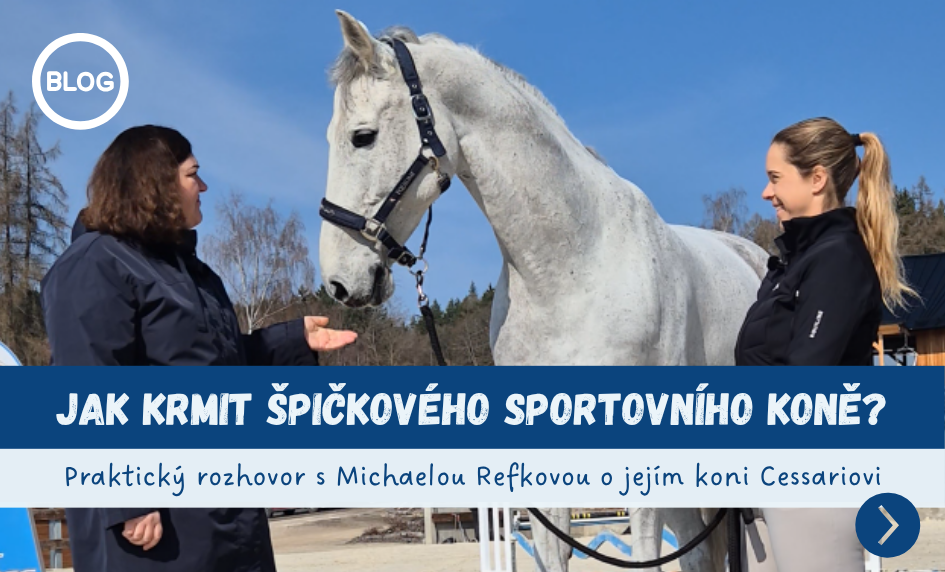 Jak krmit špičkového sportovního koně?