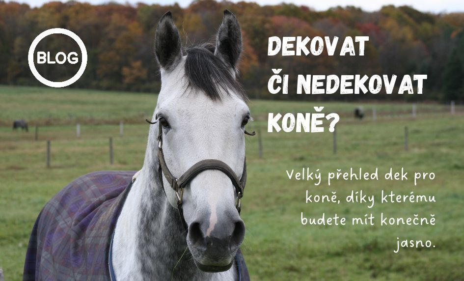 Deky pro koně
