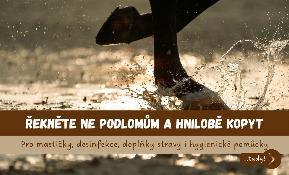 Výbava proti podlomům a hnilobě