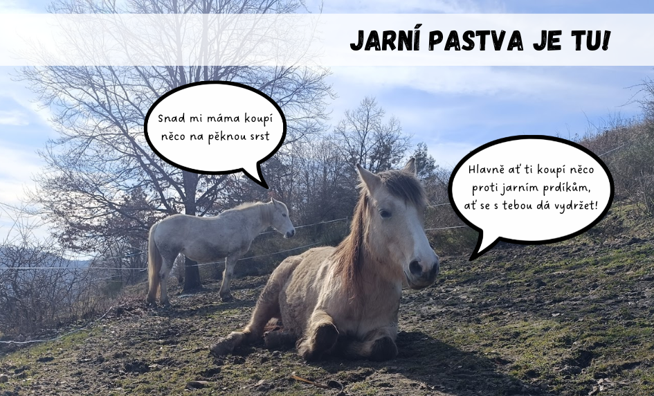 Jarní pastva a detox