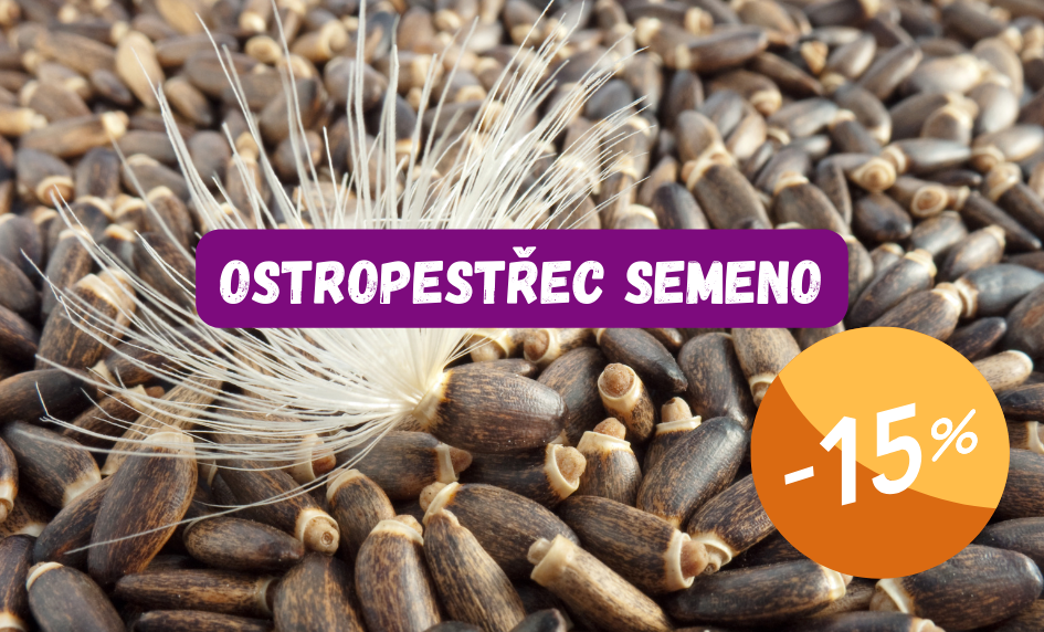 Ostropestřec semeno